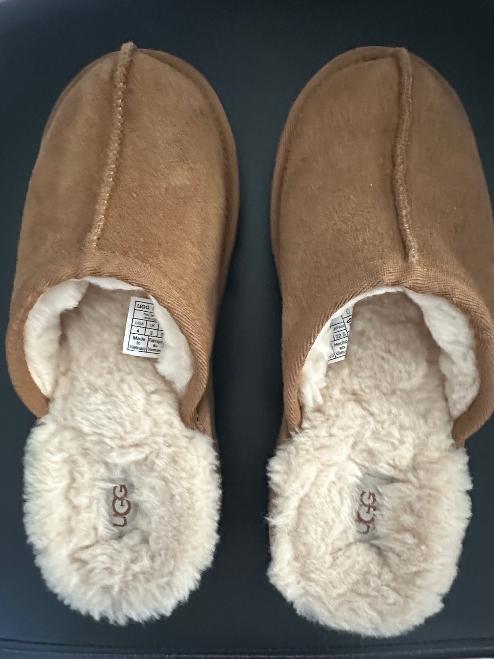 UGG Chestnut Suede Slip-On Shearling Slippers